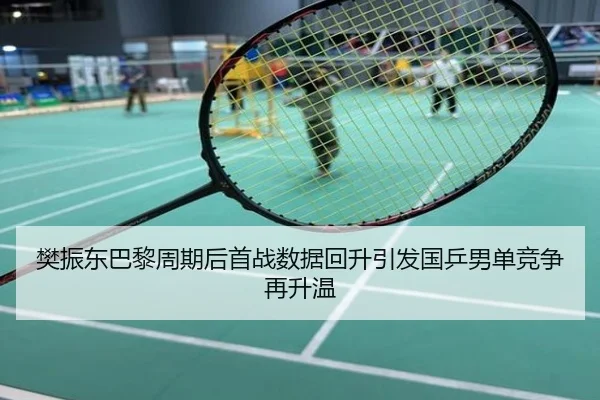 樊振东巴黎周期后首战数据回升引发国乒男单竞争再升温